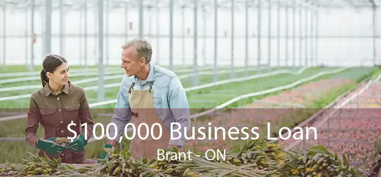 $100,000 Business Loan Brant - ON