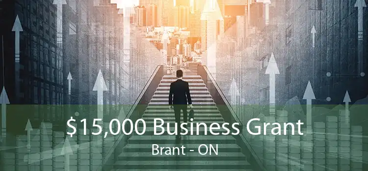 $15,000 Business Grant Brant - ON