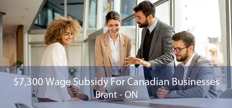 $7,300 Wage Subsidy For Canadian Businesses Brant - ON