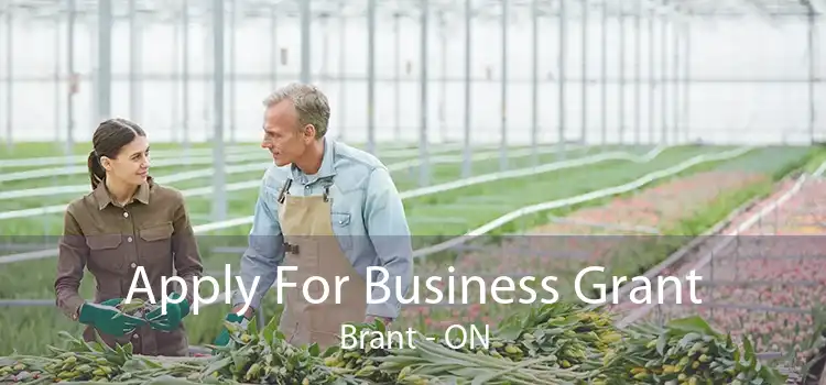 Apply For Business Grant Brant - ON