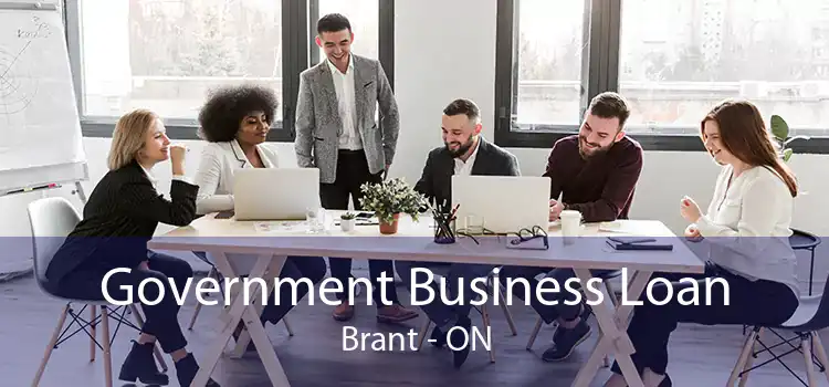 Government Business Loan Brant - ON